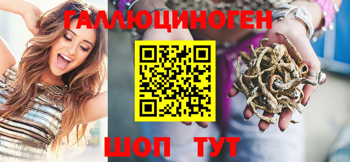 Грозный  Галлюциногенные грибы GOLDEN TEACHER  Псилоцибиновые грибы Psilocybe  Вход с VPN 