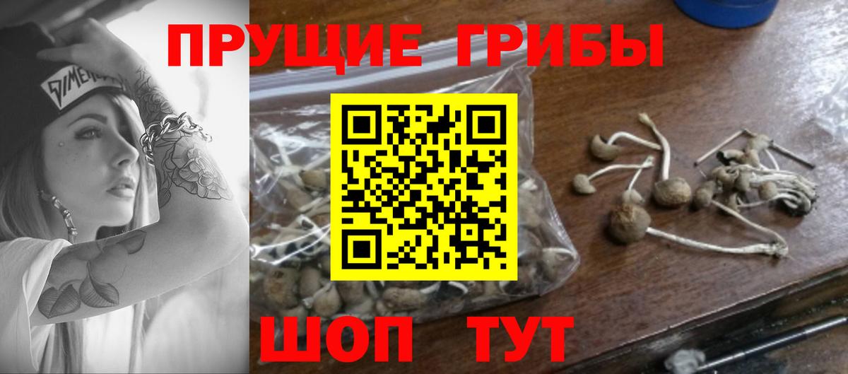 Галлюциногенные грибы MAGIC MUSHROOMS Грозный